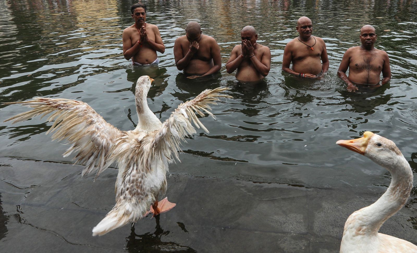 El Rito del Tarpan de la India en imágenes