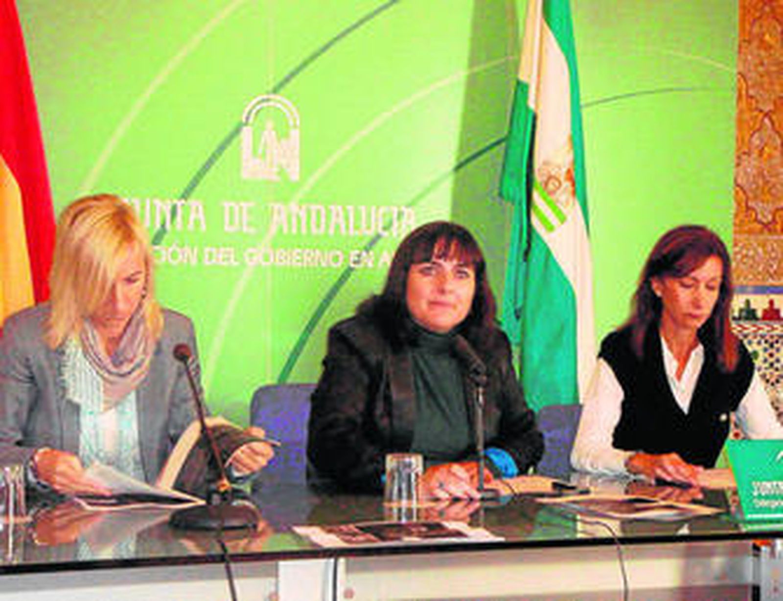 La delegada de Educación, Cultura y Deporte, Isabel Arévalo, ayer durante la rueda de prensa.