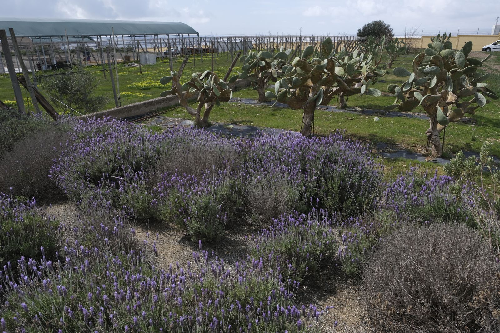 Fotogalería presentación proyecto RECICLAND IFAPA. La Mojonera (Almería)