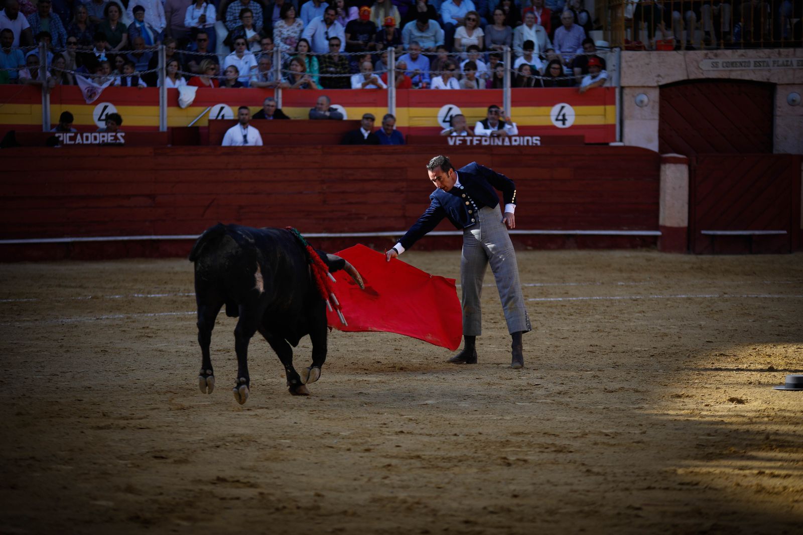 Imágenes del festival mixto lucha contra el cáncer