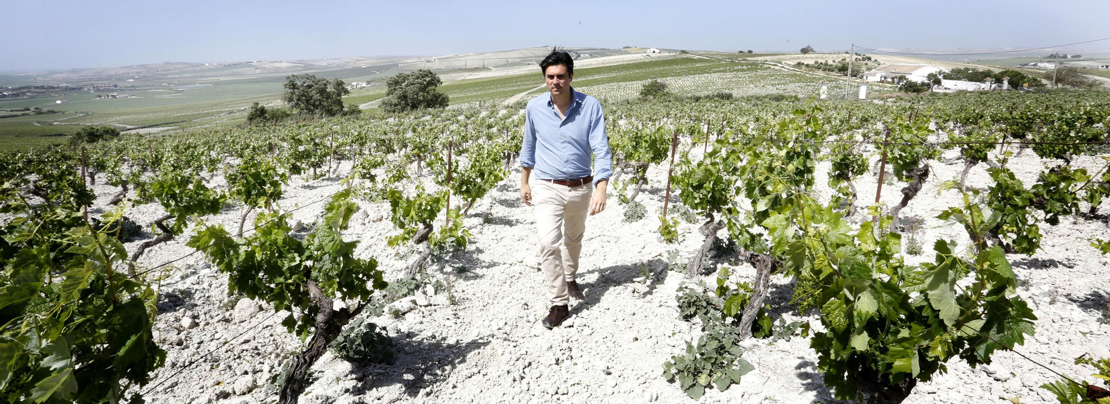 Willy Pérez, enólogo y propietario de Bodegas Luis Pérez.