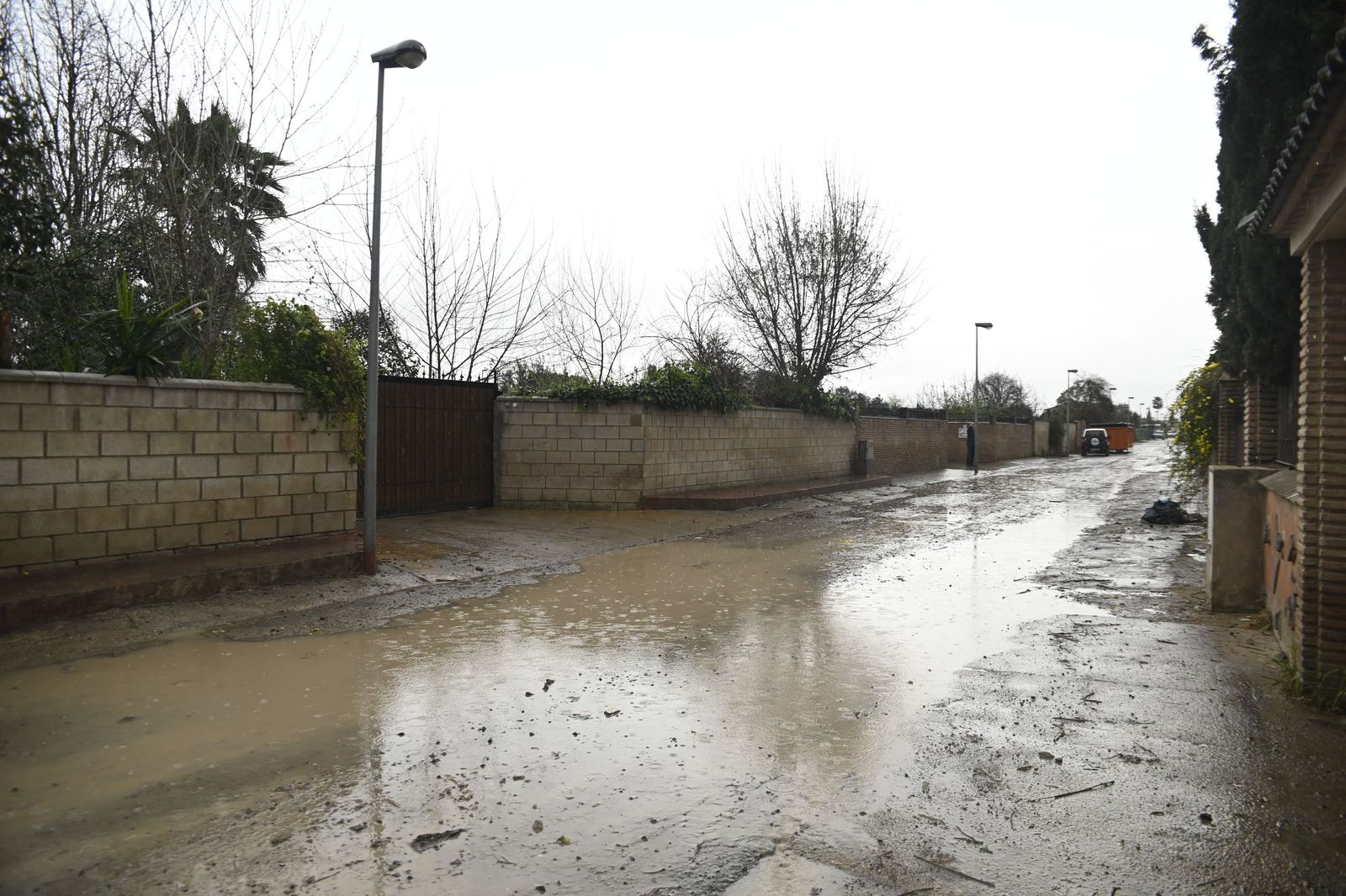 Parcelas de Guadalvalle siguen anegadas por el barro un mes después de las inundaciones
