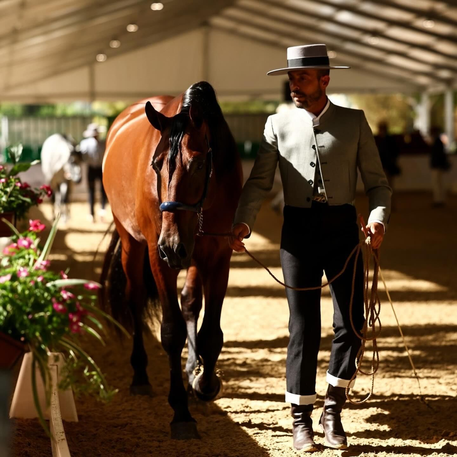 Así es el bello concurso de caballos de Andújar, en imágenes