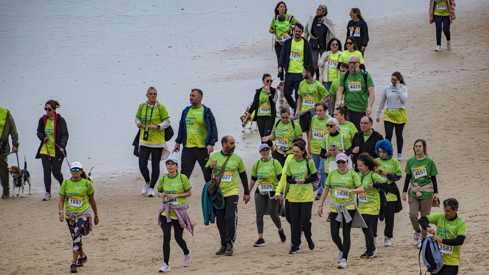 Búscate entre las fotos de la X carrera Cádiz en marcha contra el cáncer