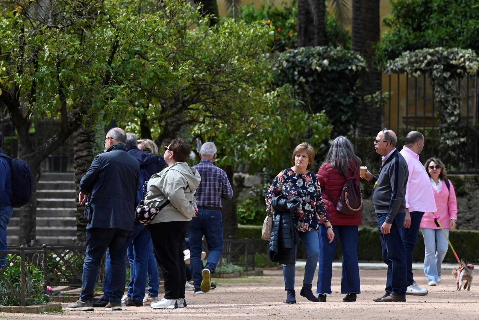 Los cordobeses aprovechan la tregua entre tormentas para salir a la calle, en imágenes