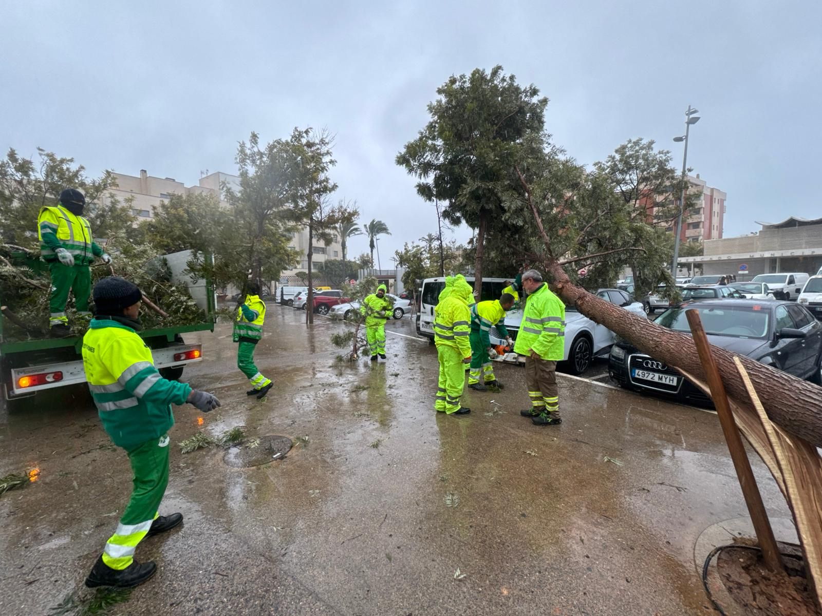 Los operarios y Protección Civil solventan los destrozos de la lluvia y el viento.