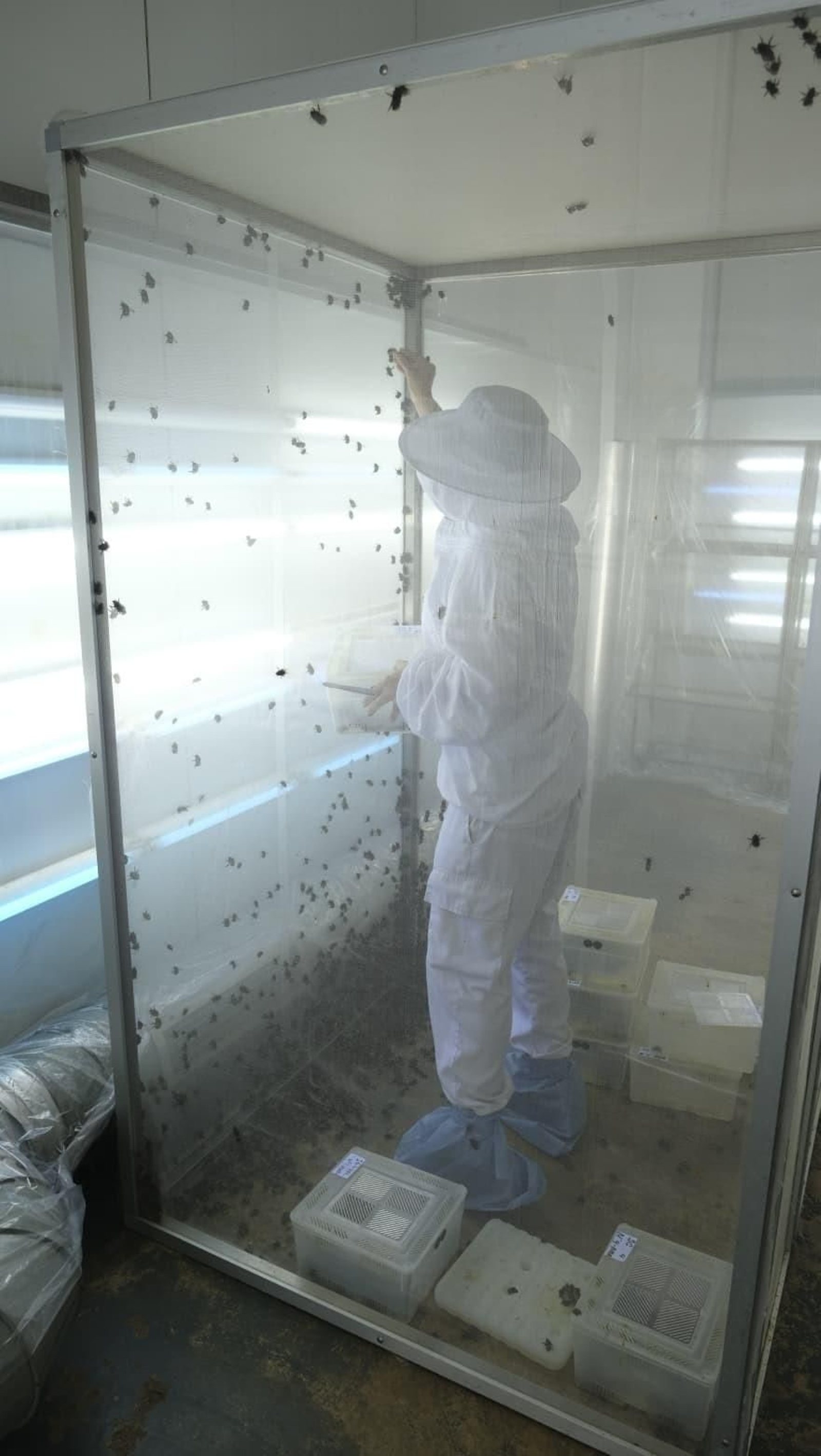 La industria auxiliar, pilar básico de la agricultura almeriense