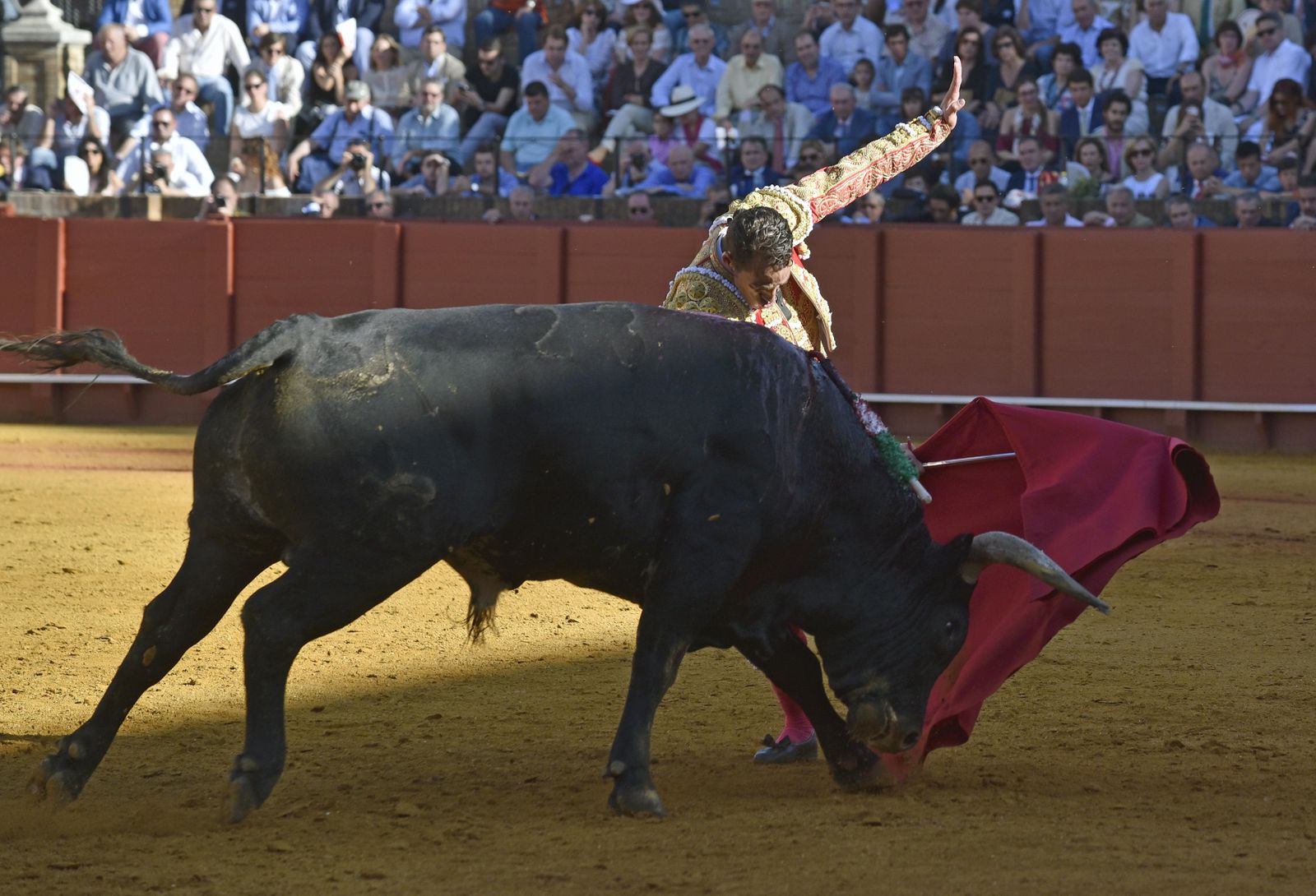 La 14ª de abono en la Real Maestranza de Sevilla, en imágenes