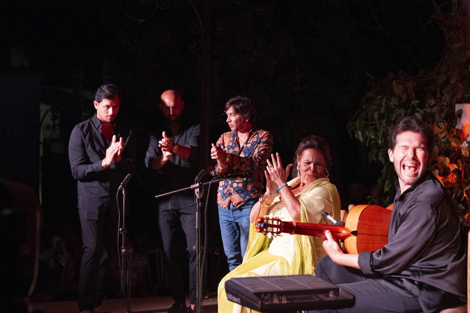 Las mejores imágenes del Festival de Flamenco en Fondón