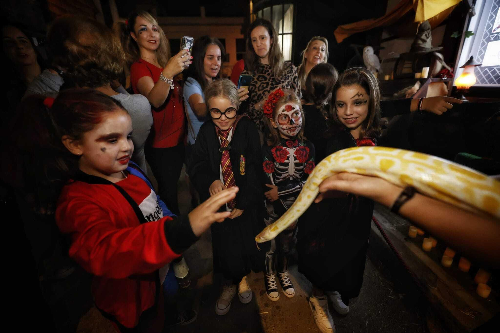 La verdadera noche de terror en la Isla por Halloween