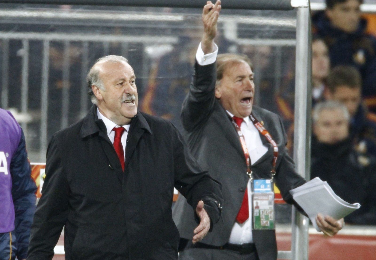 Toni Grande, detrás de Vicente del Bosque, alza el brazo para celebrar el gol de Iniesta en la final del Mundial.