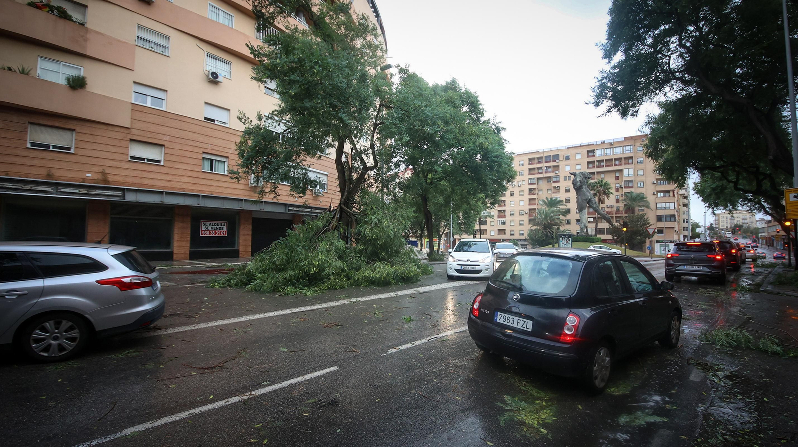Caos en Jerez por los destrozos del temporal de viento