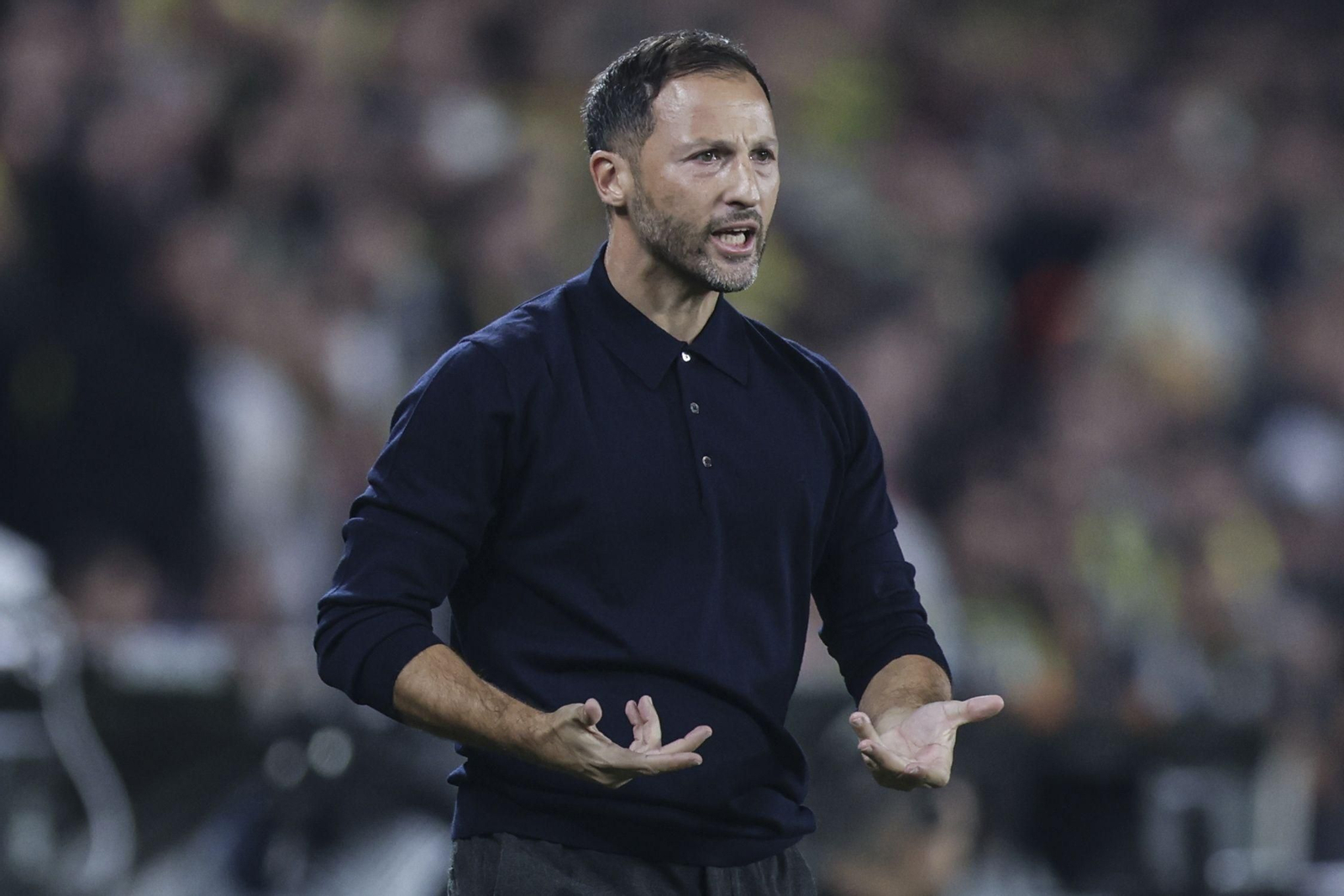 Fenerbahçe-Stuttgart (25).jpg