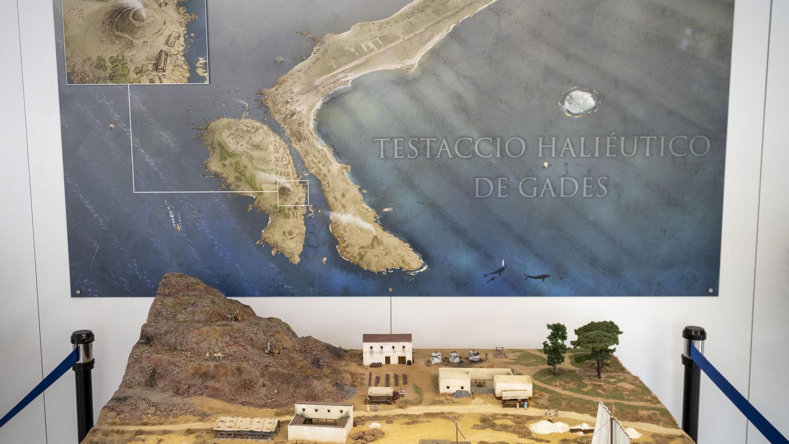 La imagen que nos recibe en el hall del Centro de Transferencia Empresarial El Olivillo, donde se sitúa el yacimiento.