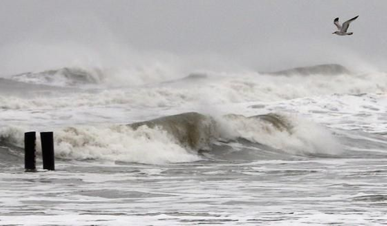 EEUU ya comienza a notar los efectos del huracán que afectará a zonas del litoral como la ciudad de Nueva York.

Foto: REUTERS / AFP