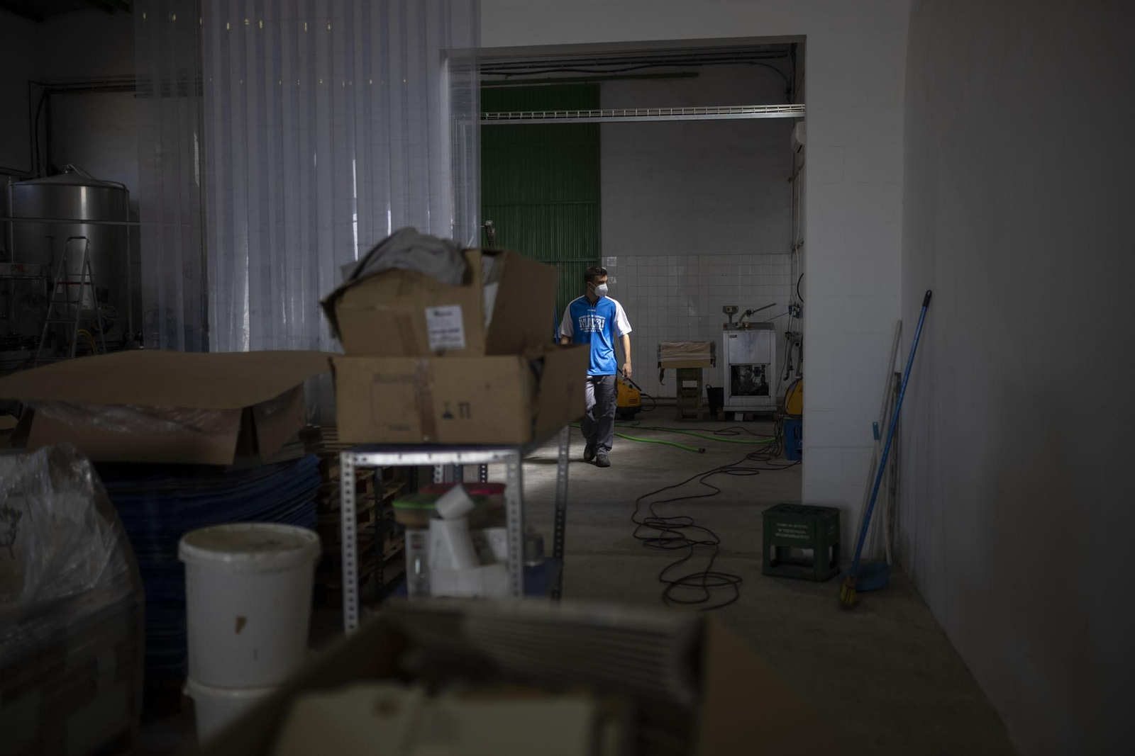 Imágenes de la vendimia en el Condado de Huelva