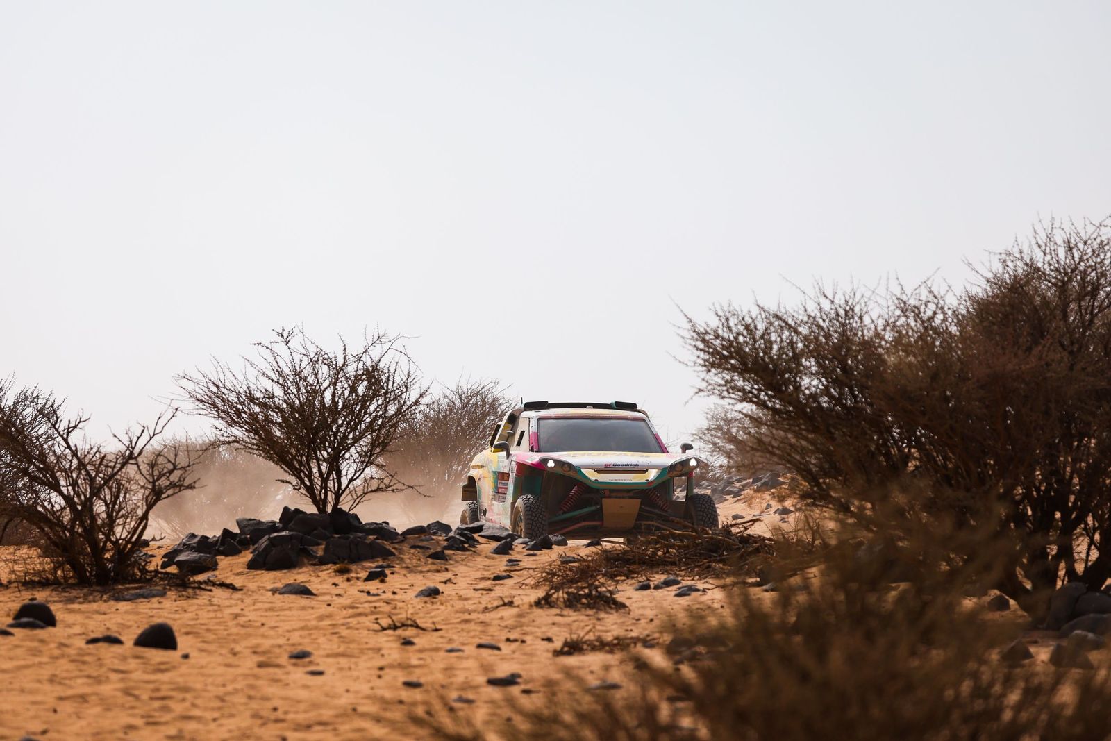 Las mejores fotos del Rally Dakar | undécima etapa