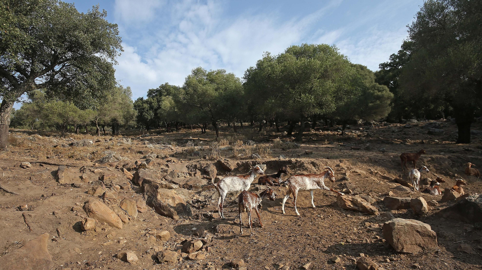 Las mejores fotos de la cueva de la Laja Alta