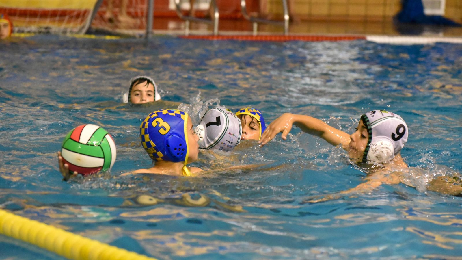 Fotos del Trofeo Ciudad de Algeciras 'Hermanas Callejo' de Waterpolo