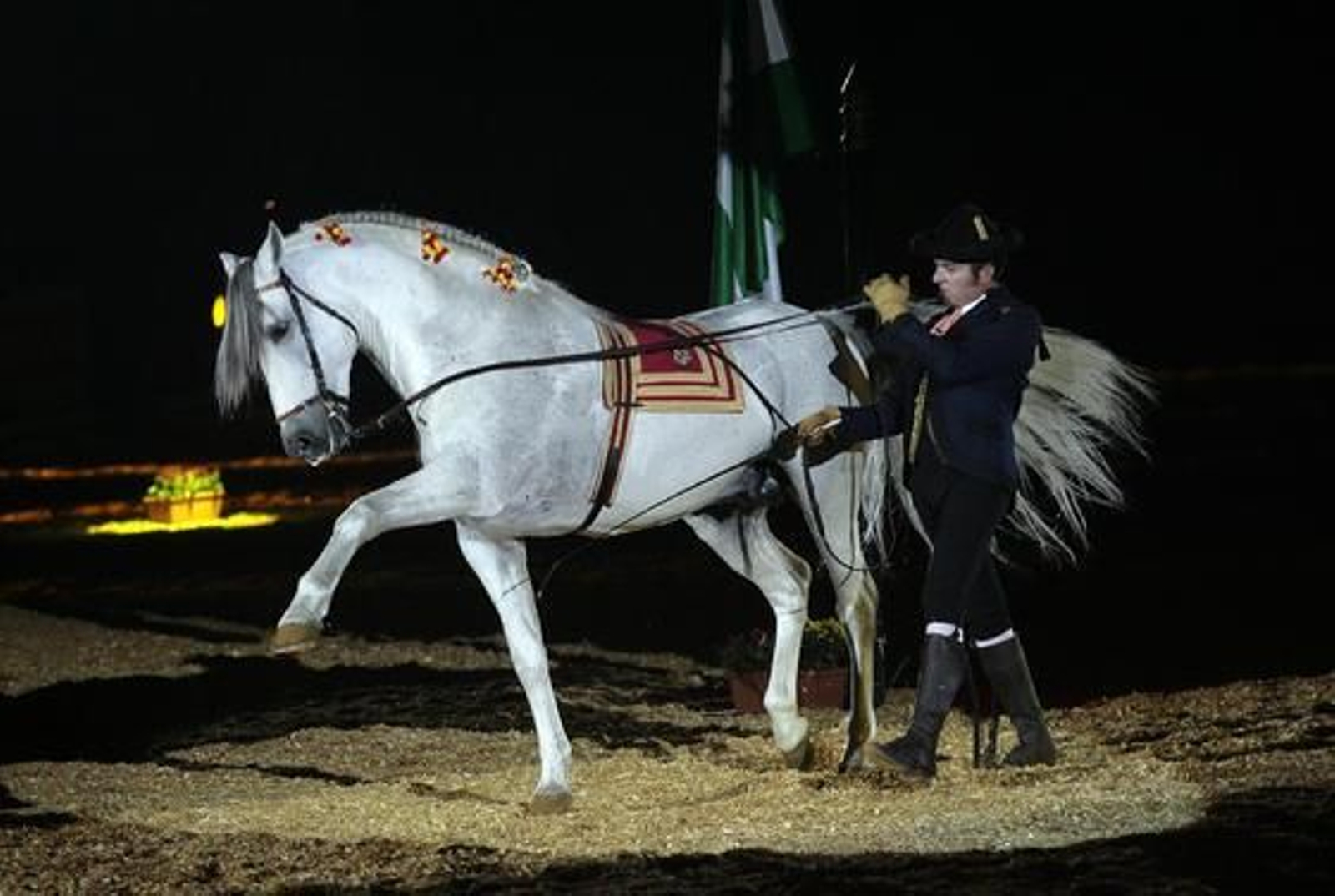 Número de riendas largas por Juan José Verdugo.

Foto: Juan Carlos Muñoz