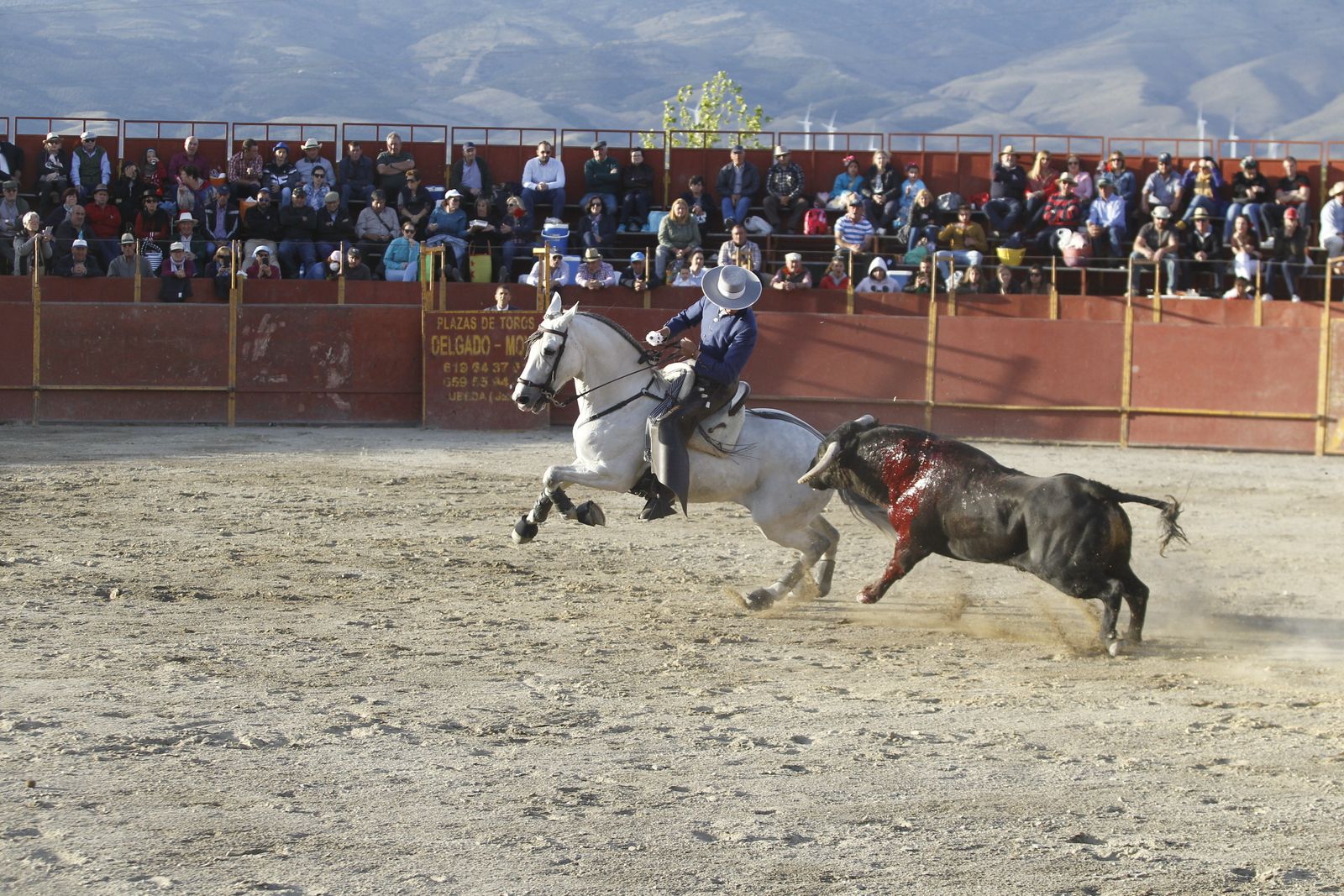 Fotogalería Festival Taurino Mixto. Fiestas de Abrucena.