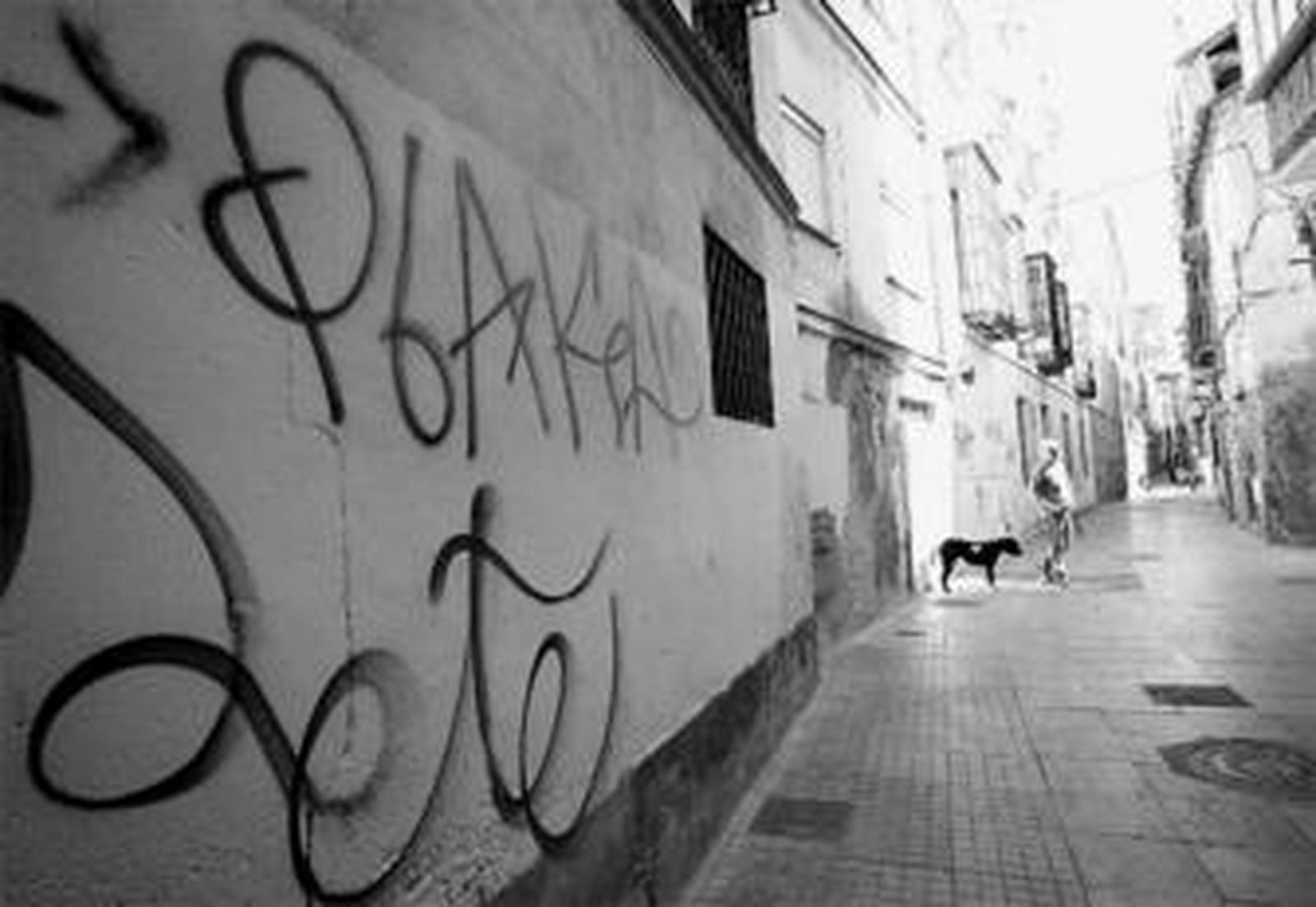 Operarios de limpieza barren la calle Larios.