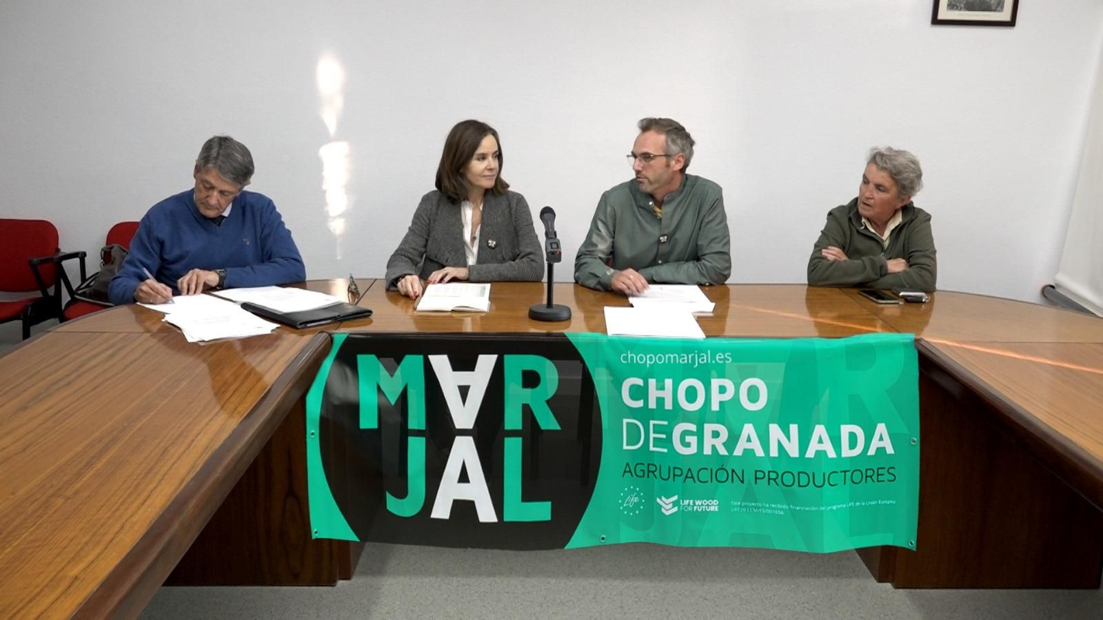 Subasta de la madera de chopo.