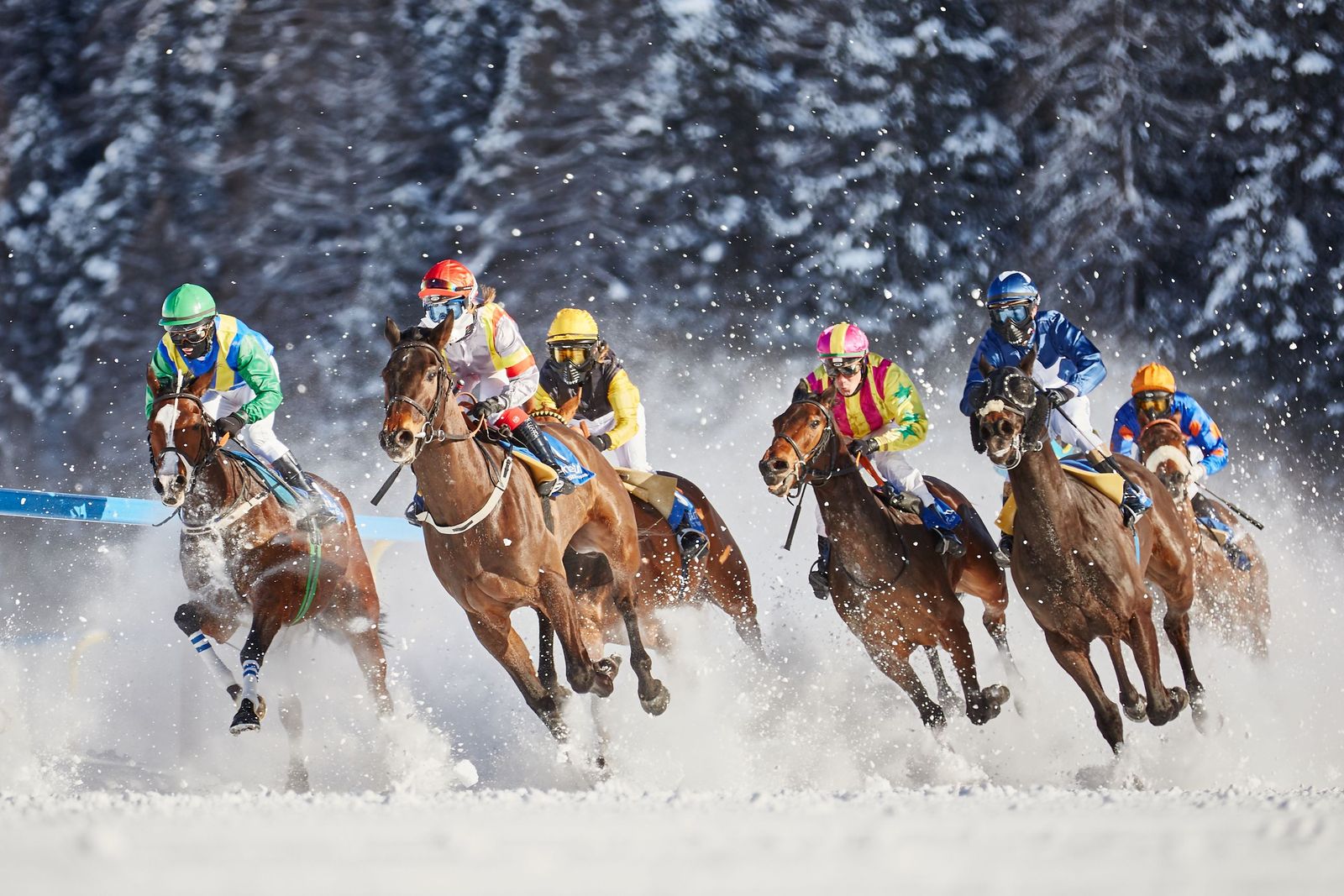 Deportes hípicos | White Turf The Race