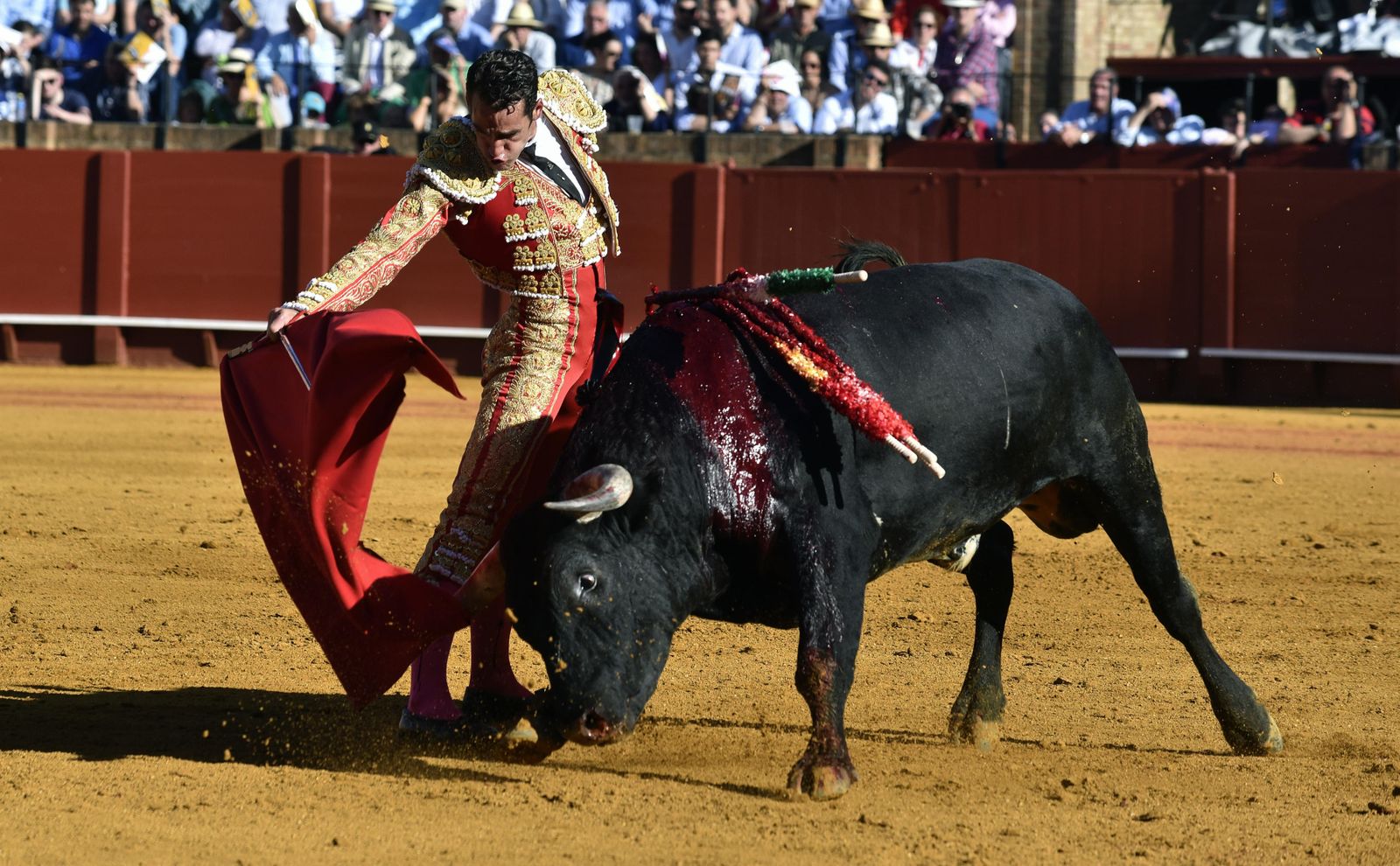 La 14ª de abono en la Real Maestranza de Sevilla, en imágenes