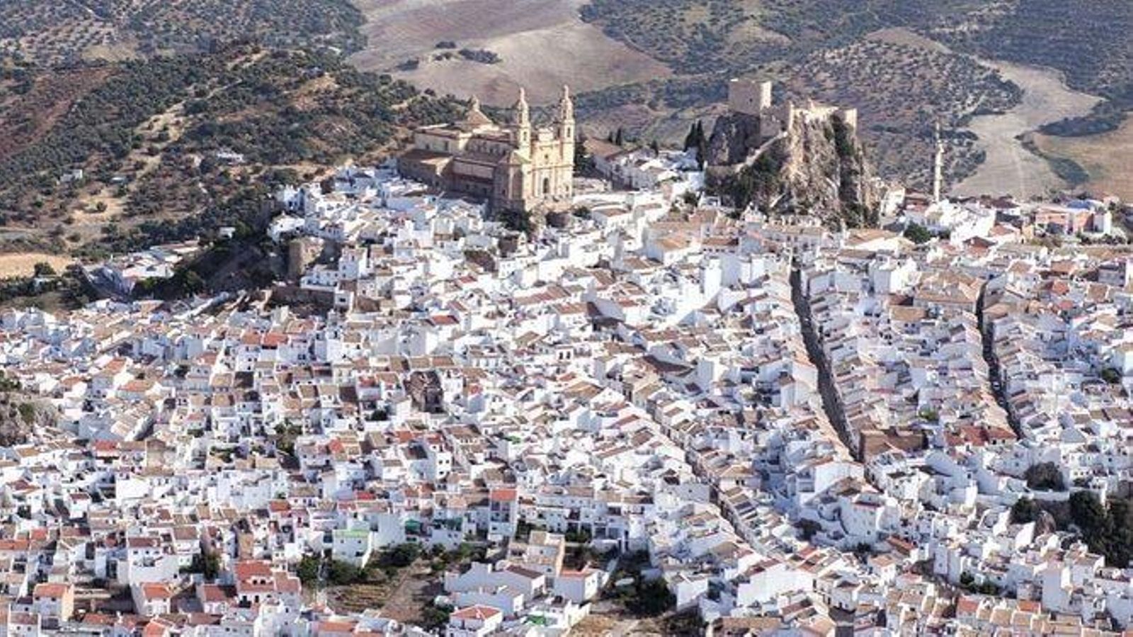 Olvera.