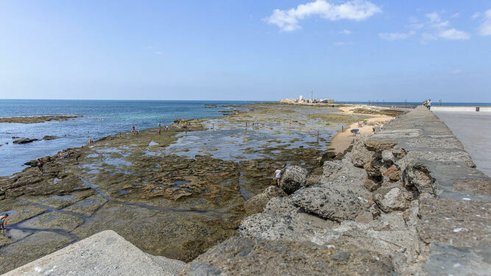 Imagen del mal estado que presentan las murallas junto al Baluarte de los Mártires.
