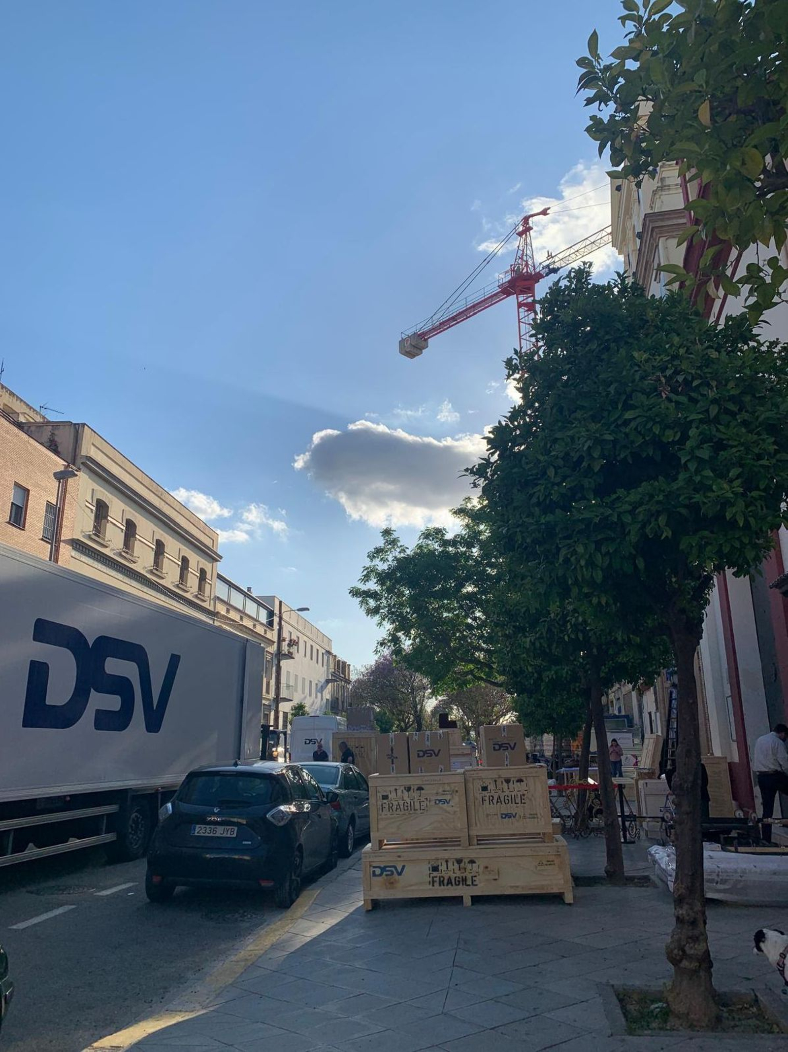 Así se encuentran los aledaños de la basílica del Cachorro en estos momentos.