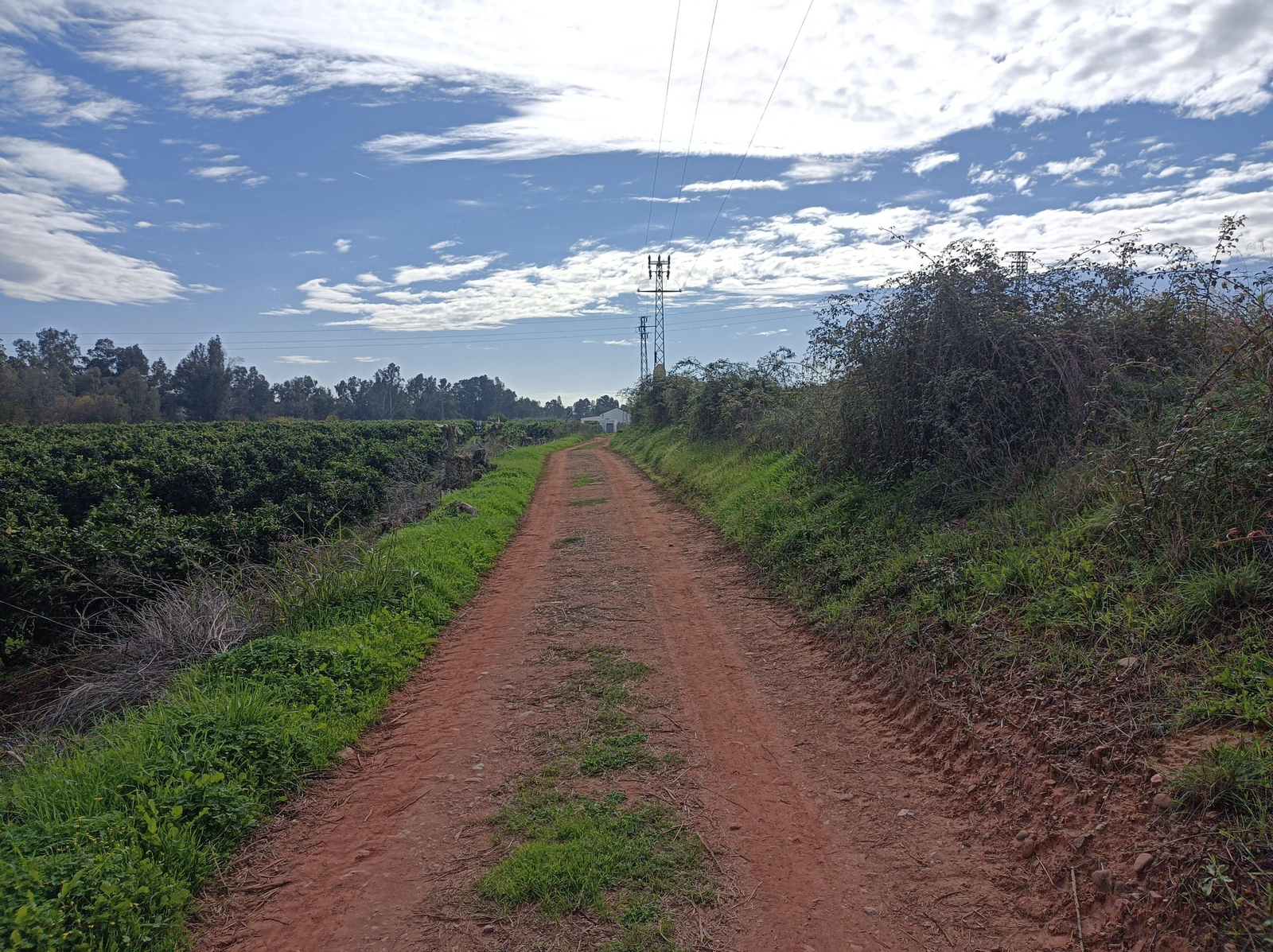 El cómodo Camino de las Huertas del Viar. El cómodo Camino de las Huertas del Viar.