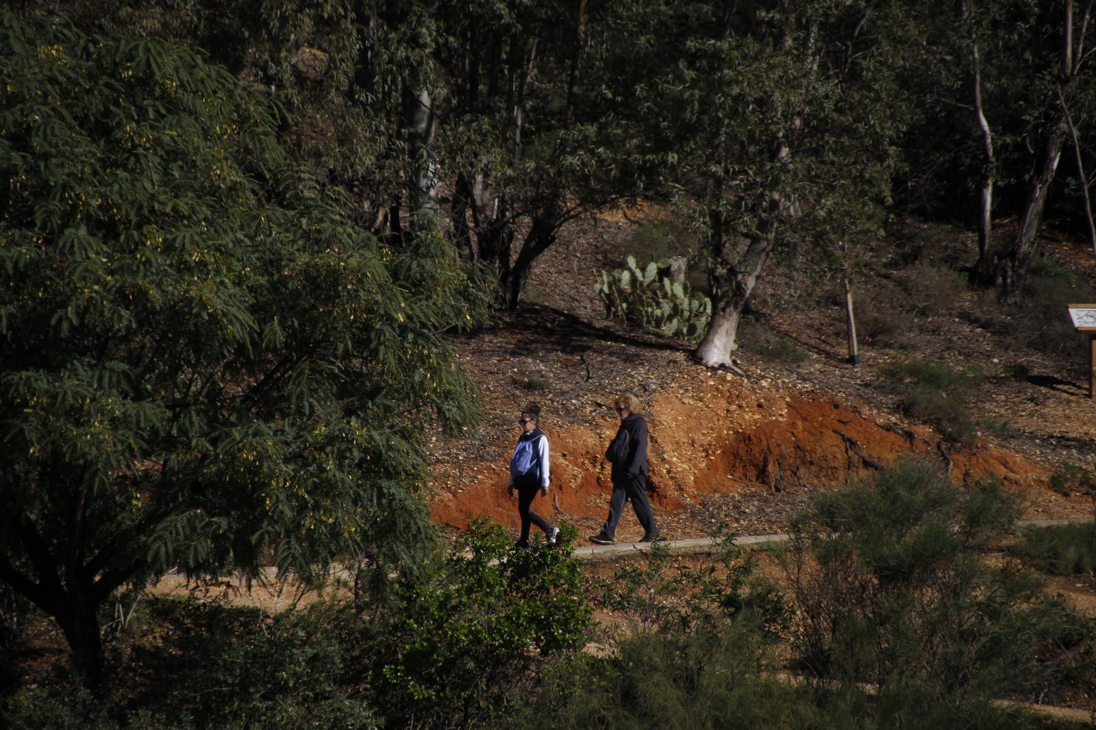 Imágenes del viernes 1 de diciembre