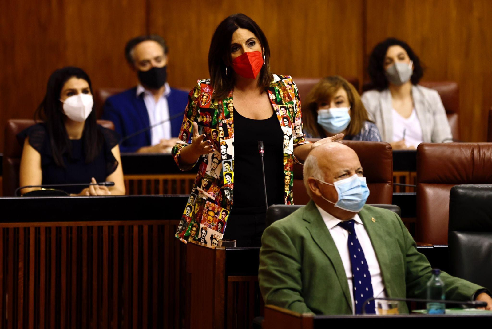 Ángeles Férriz, durante su intervención en la sesión de control al Gobierno.