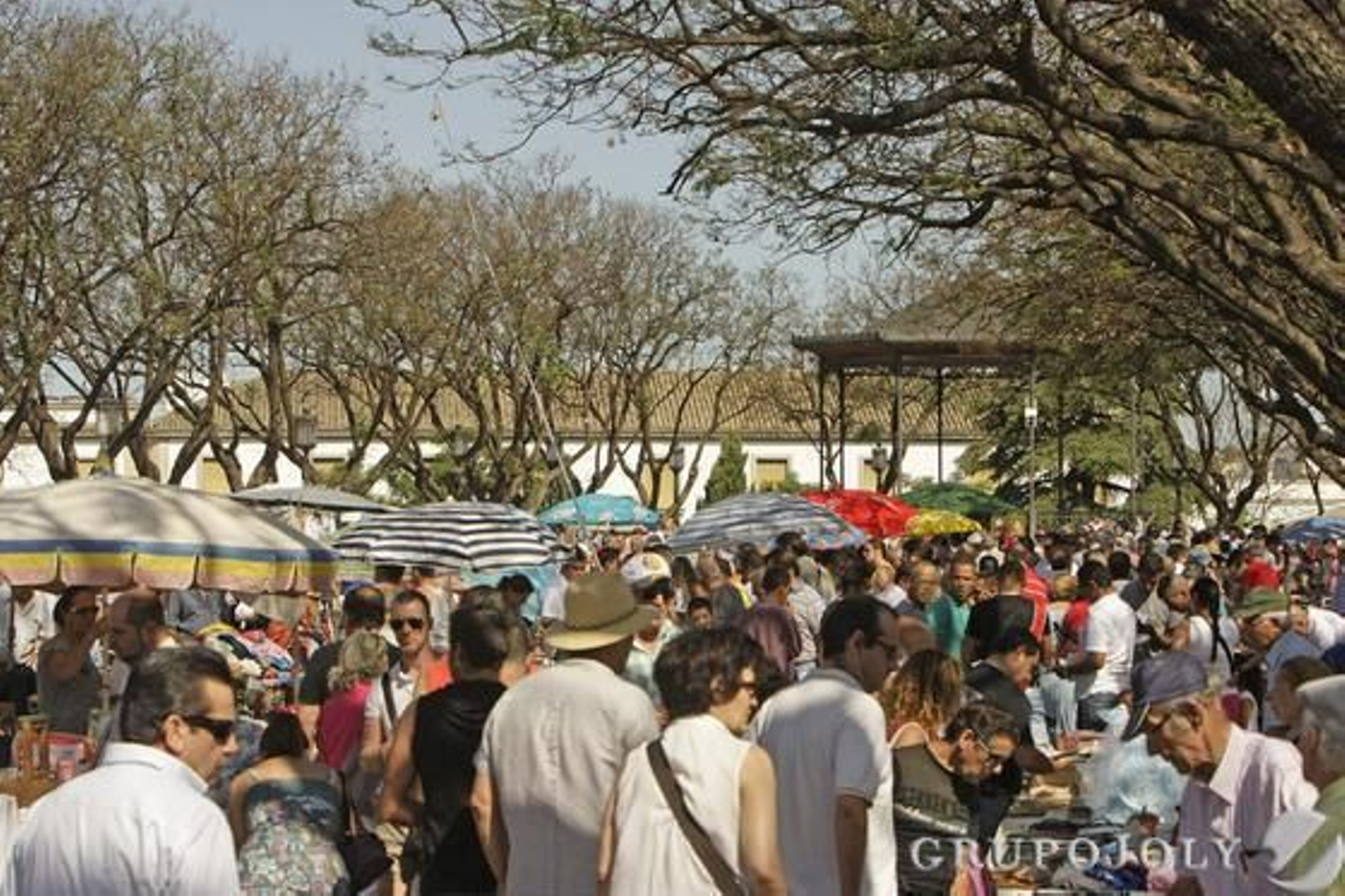 Foto: Juan Carlos Toro