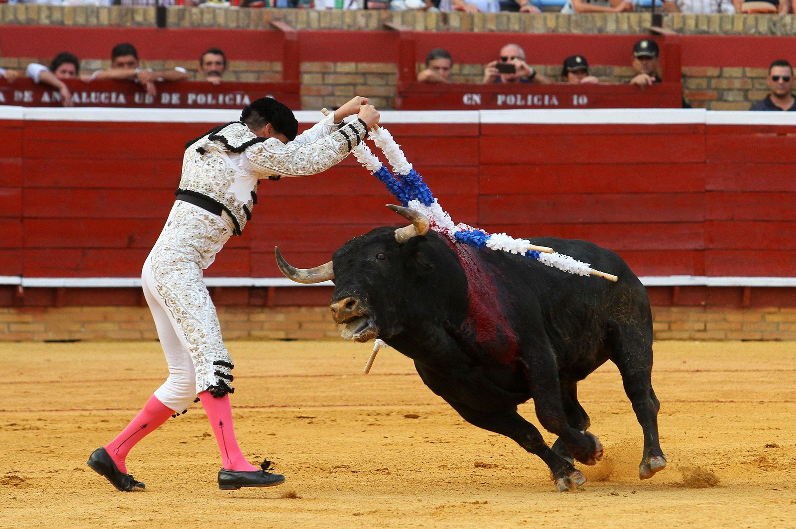 Faena de Emilio Silvera en la novillada de la Plaza de La Merced