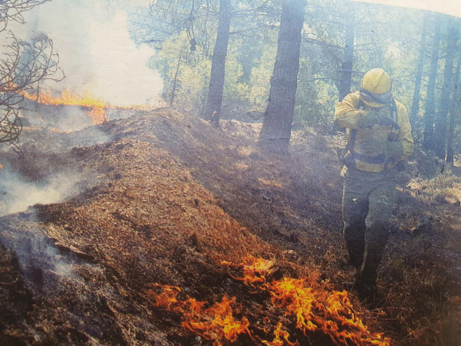 Incendio en el Parque Natural de Sierra Nevada.