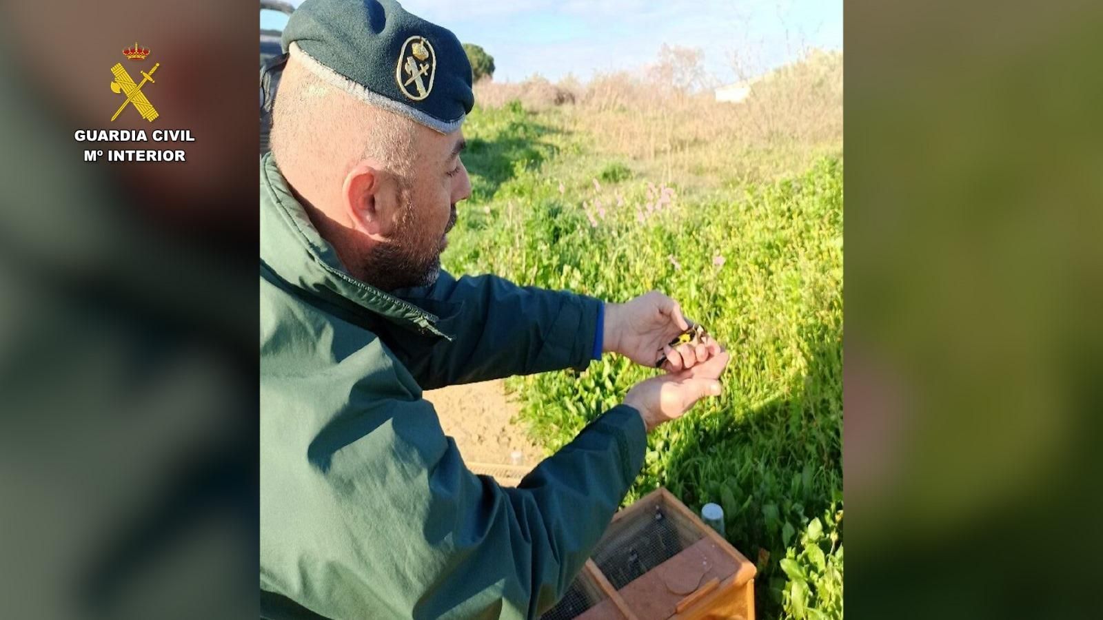 Momento de la liberación de las aves.