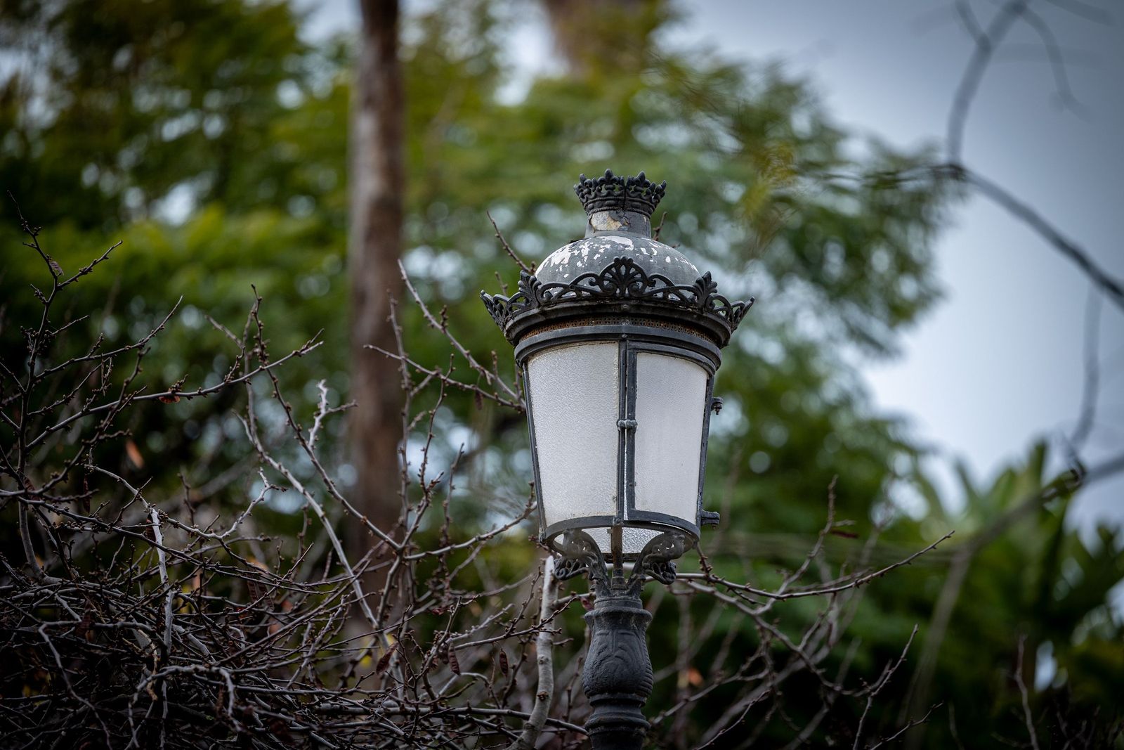 Las imágenes del mal estado de la Plaza de España en Cádiz