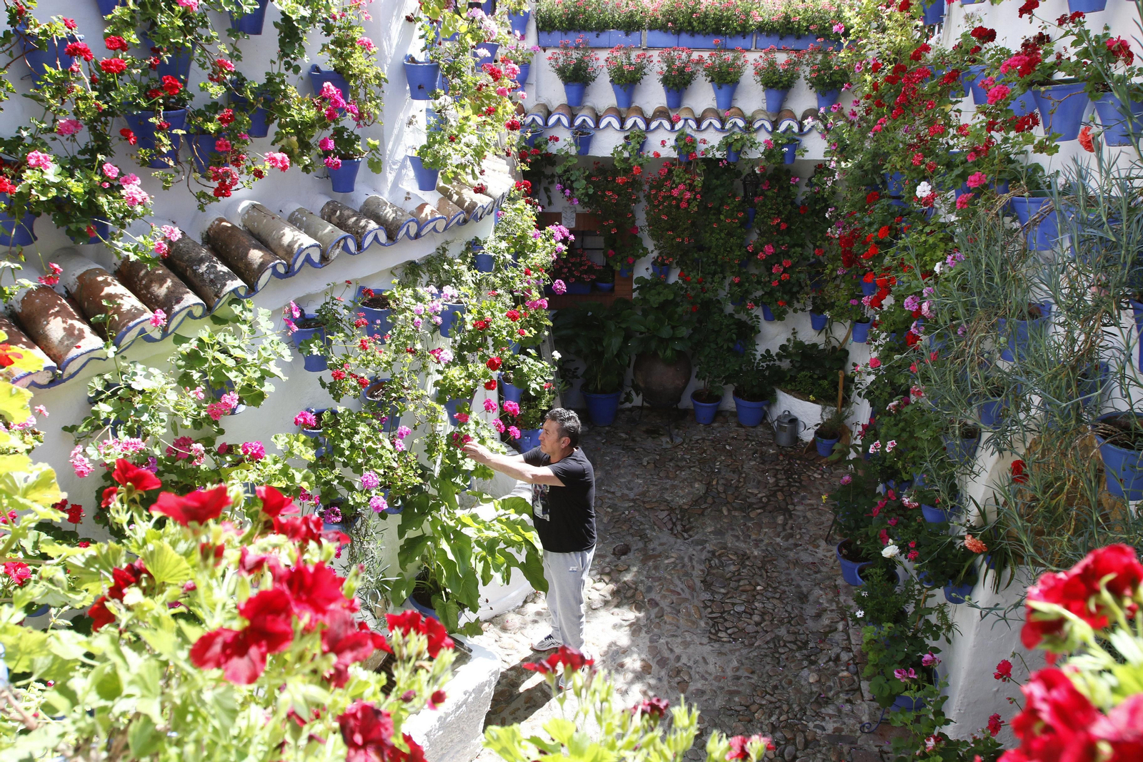 Las fotos de los Patios de Córdoba en tiempos de crisis: Postrera, 28