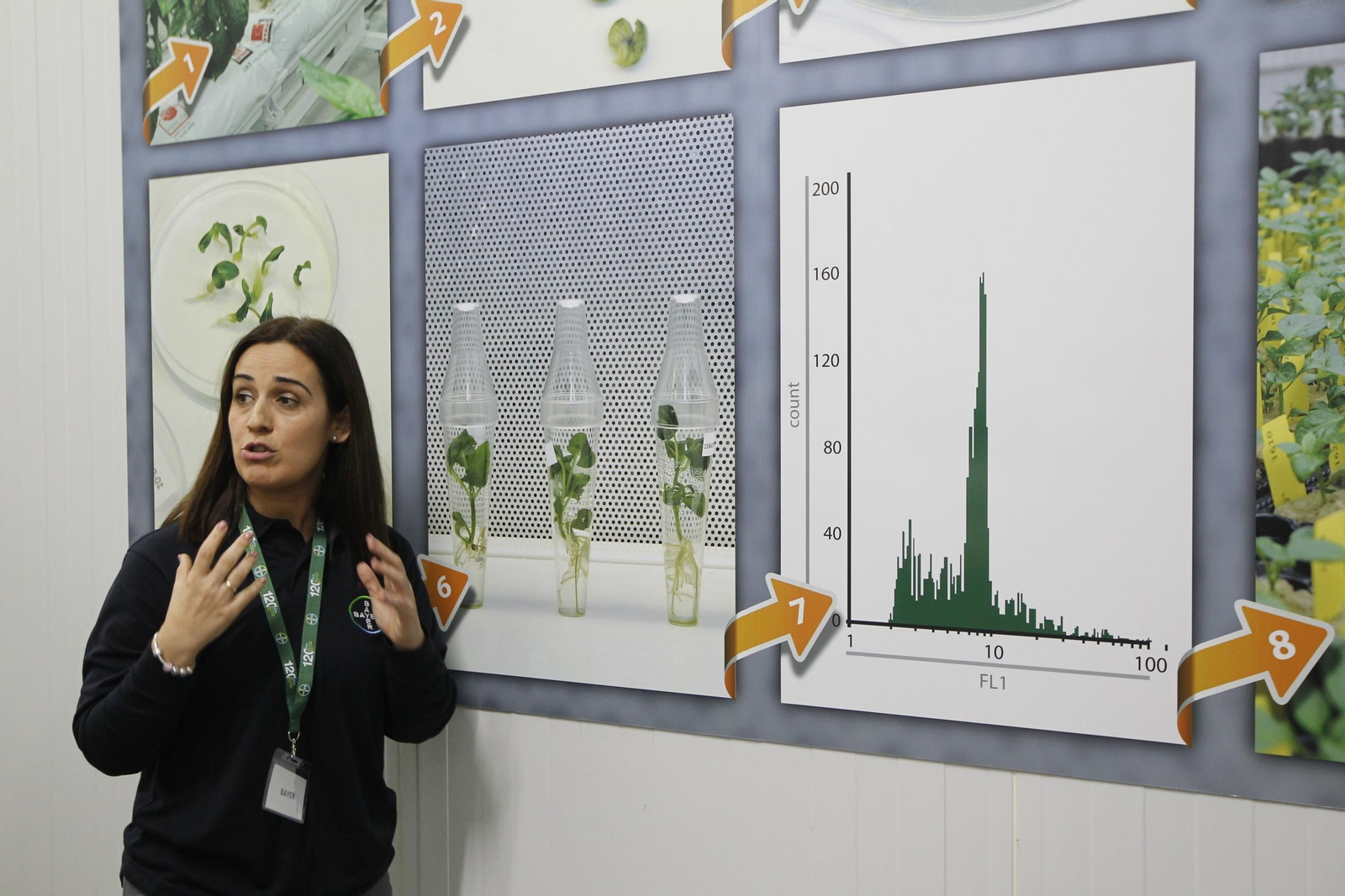 Fotogalería presentación resultados Bayer