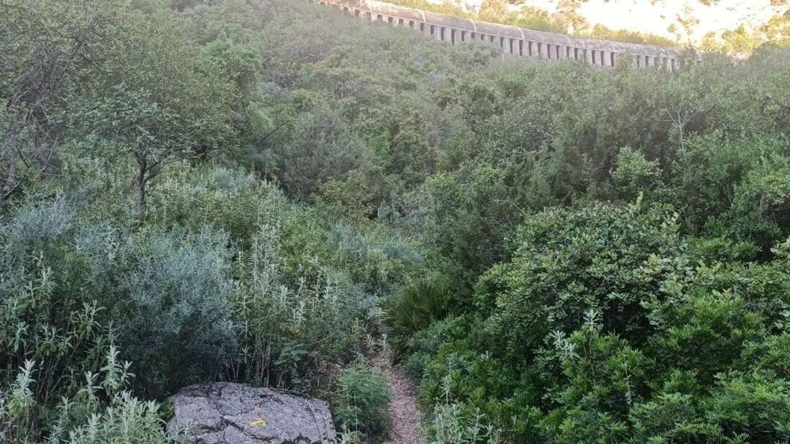 En el fondo del cañón, la vegetación es densa. Arriba nos acompaña la línea Algeciras-Bobadilla