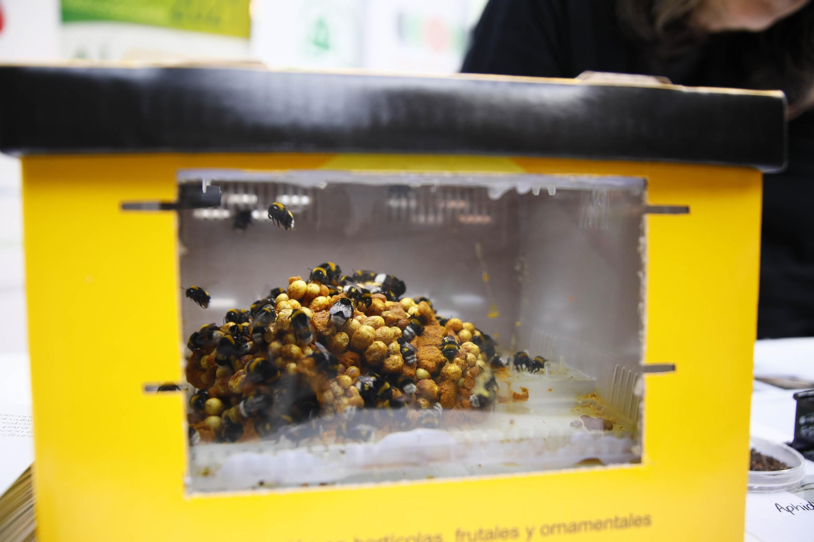 Las mejores imágenes de la Noche de los investigadores