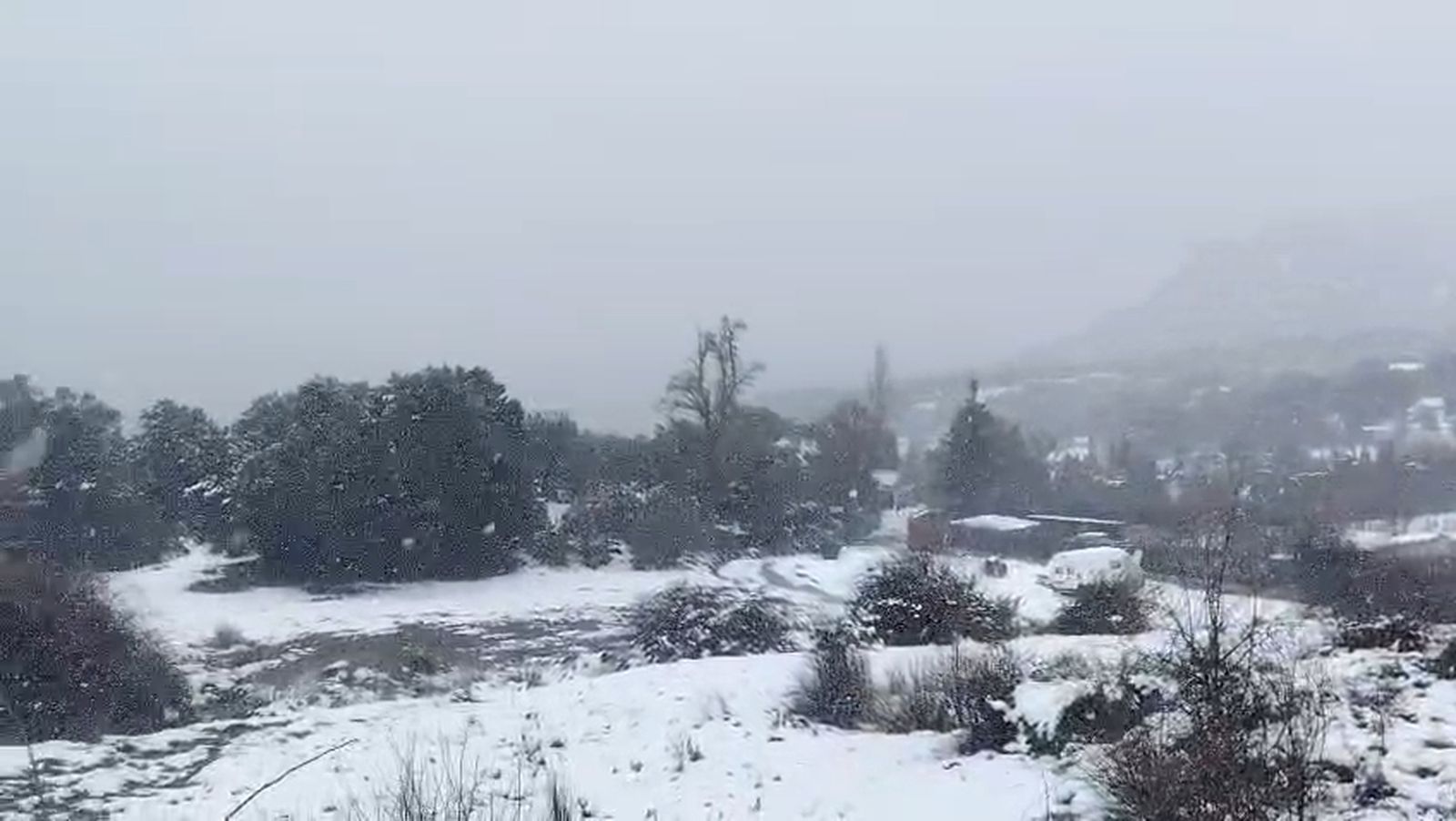 Intensa nevada en Prado Negro, cerca de la A-92 en Granada