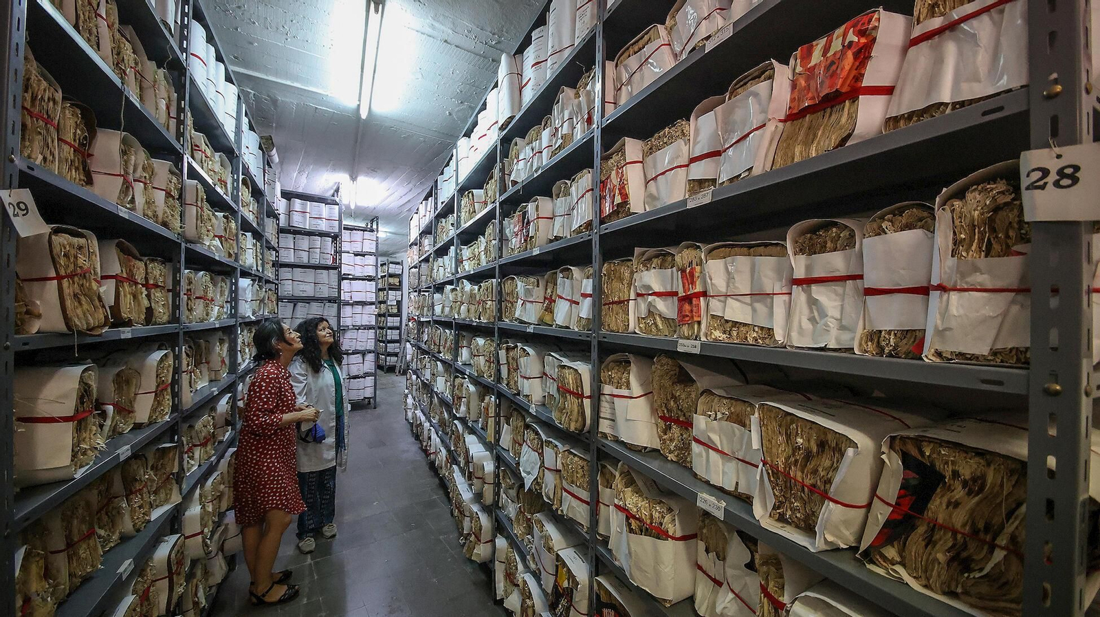 Archivo Municipal de Jerez.