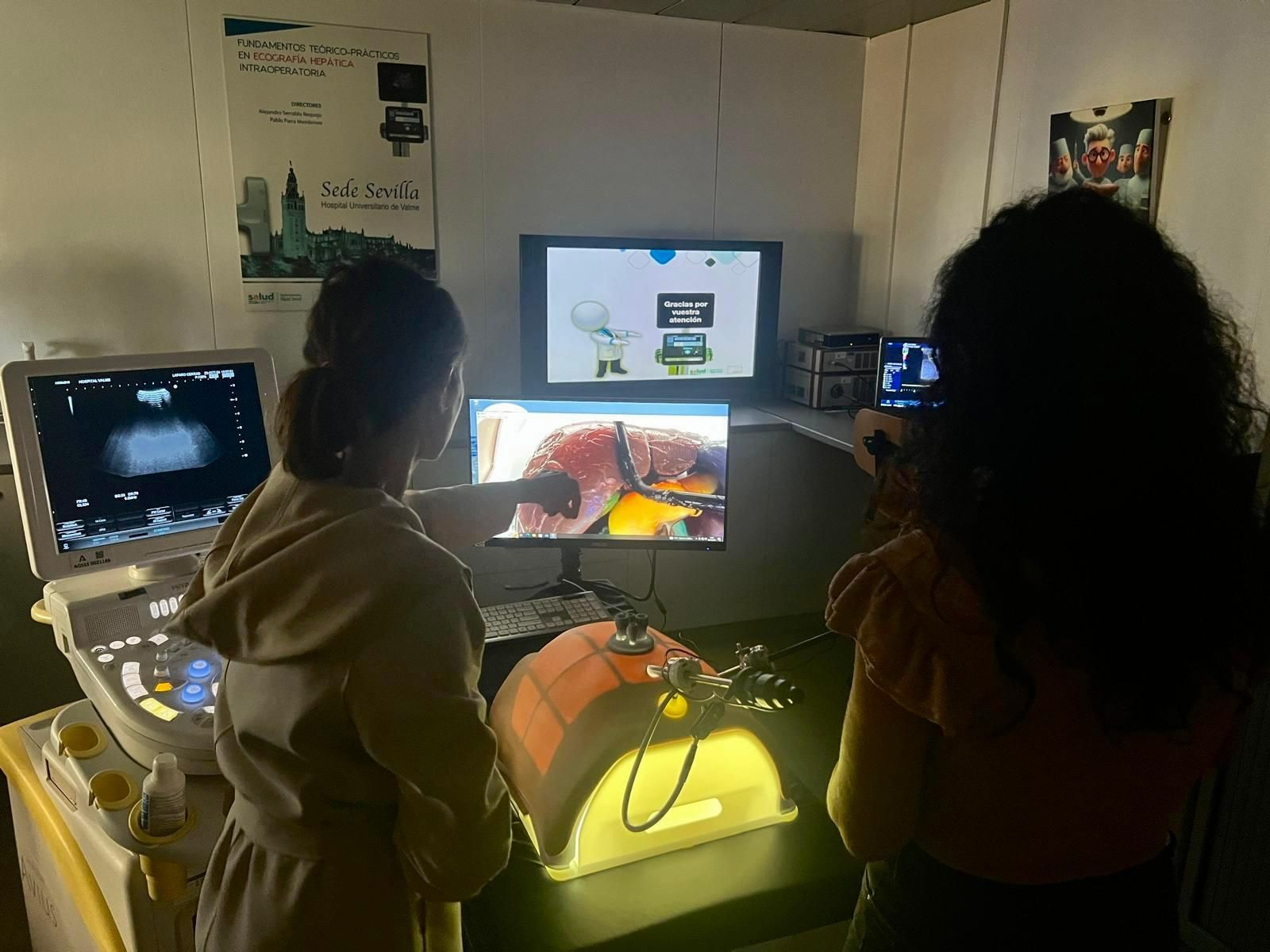 Alumnos realizando una ecografía laparoscópica hepÁtica en entorno simulado de cirugía intraoperatoria sobre un modelo 3D hepática anatómico