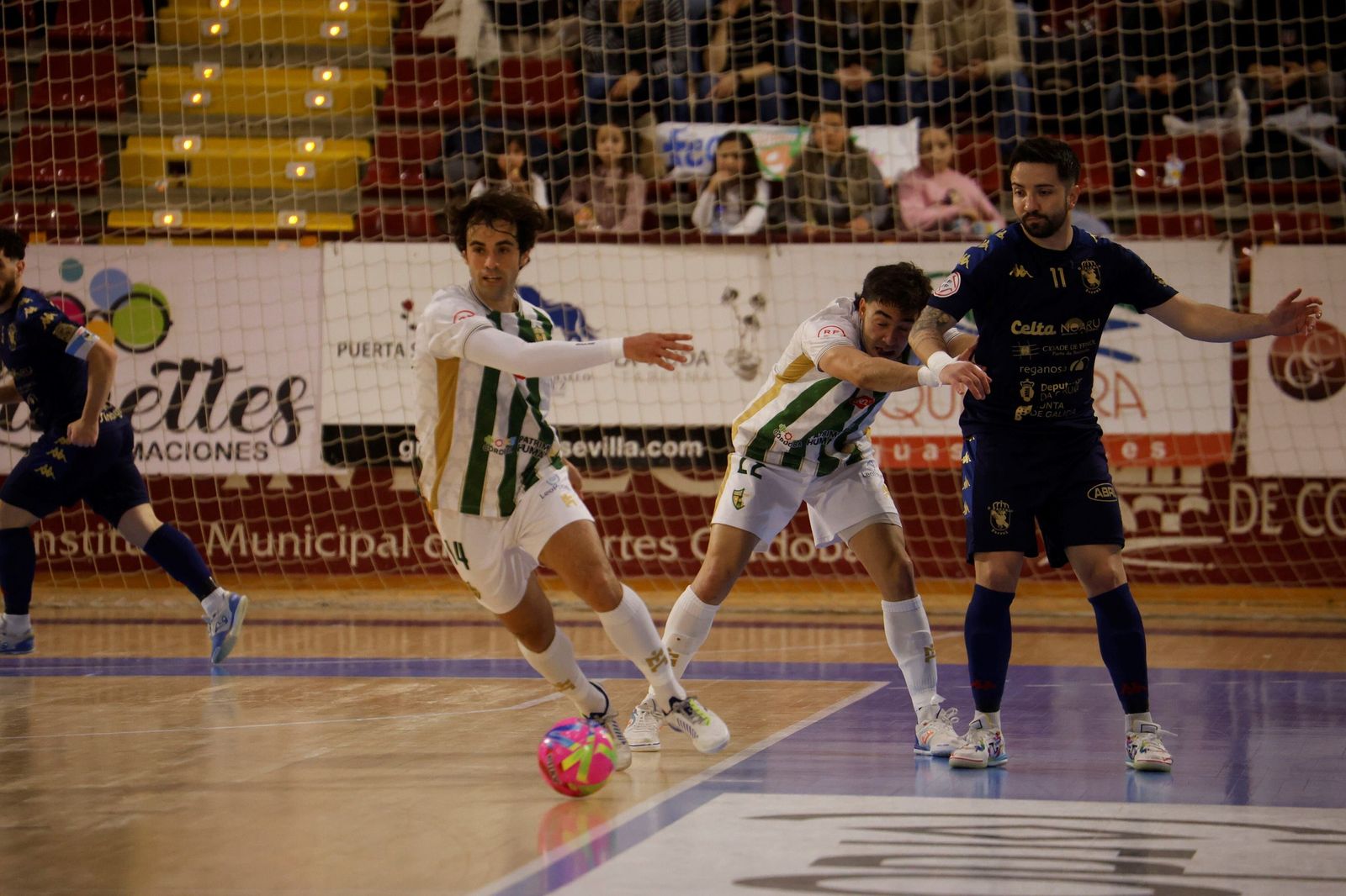 Las mejores fotos del ambiente en Vista Alegre para el Córdoba Futsal - O Parrulo Ferrol