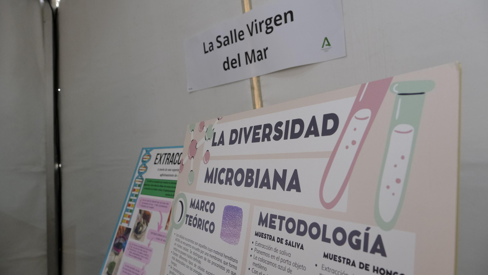Imágenes de la Feria de la Innovación y la Ciencia en la Universidad de Almería-UAL