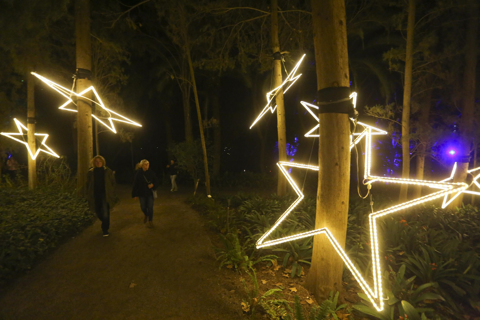 Las luces del Jardín Botánico de Málaga esta Navidad, en fotos